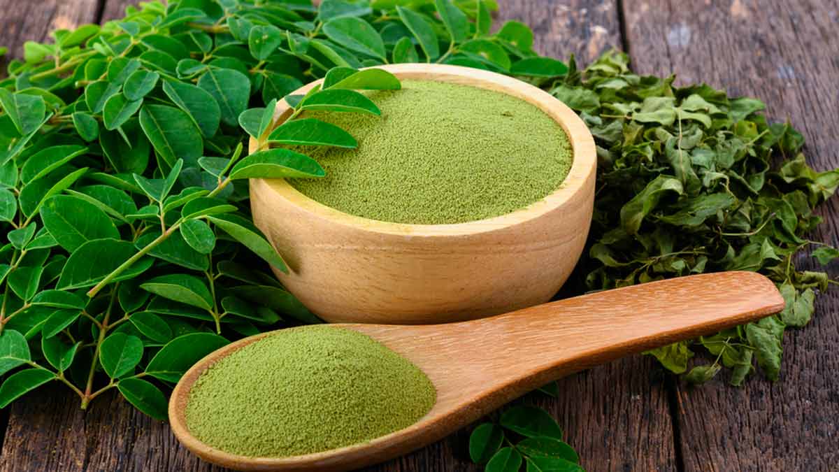 Organic moringa powder with fresh leaves